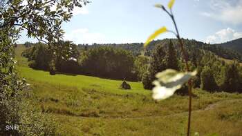 Beskid 31 lipiec 2026 rok, 2026-07-31 16:00