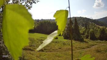 Beskyd 7 august 2026 year 16:00