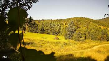 Beskid 12 sierpień 2026 rok, 2026-08-12 10:00