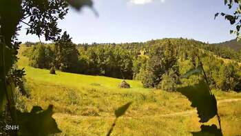 Beskid 12 sierpień 2026 rok, 2026-08-12 13:00