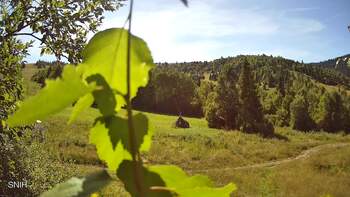 Beskid 13 sierpień 2026 rok 16:00