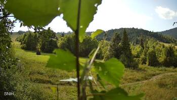 Beskid 20 sierpień 2026 rok 16:00