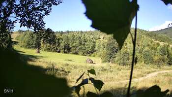 Beskid 23 sierpień 2026 rok, 2026-08-23 10:00