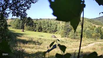 Beskid 25 sierpień 2026 rok, 2026-08-25 10:00