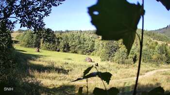 Beskid 28 sierpień 2026 rok, 2026-08-28 10:00