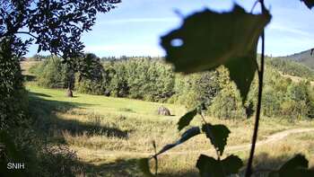 Beskyd 31 august 2026 year, 2026-08-31 10:00