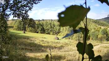 Beskid 17 wrzesień 2026 rok, 2026-09-17 10:00