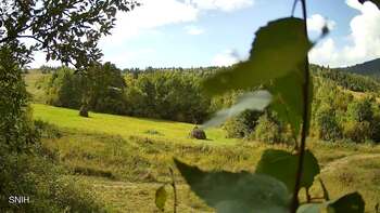 Beskyd 19 september 2026 year, 2026-09-19 13:00