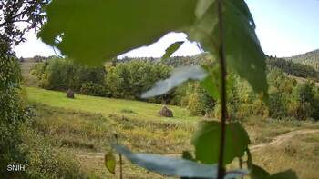 Beskyd 20 september 2026 year 13:00