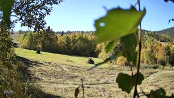 Beskyd 4 october 2026 year, 2026-10-04 13:00