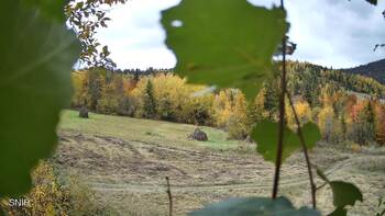 Beskyd 13 october 2026 year, 2026-10-13 13:00