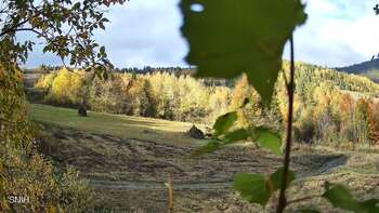 Beskyd 16 october 2026 year, 2026-10-16 10:00