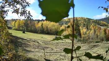 Beskyd 16 october 2026 year, 2026-10-16 13:00