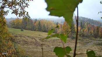Beskyd 17 october 2026 year, 2026-10-17 10:00