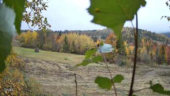 Beskyd 17 october 2026 year, 2026-10-17 13:00