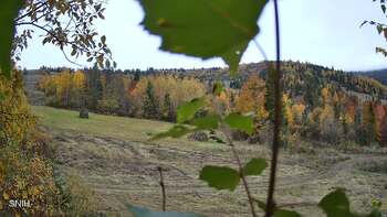 Beskyd 19 october 2026 year, 2026-10-19 10:00