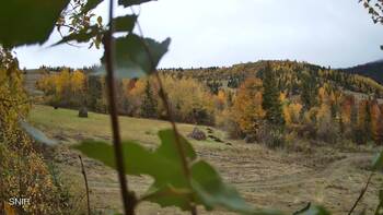 Beskyd 19 october 2026 year, 2026-10-19 13:00