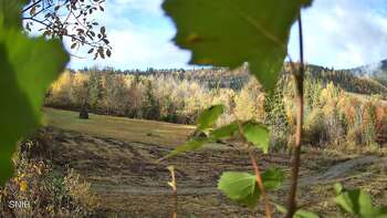 Beskyd 23 october 2026 year, 2026-10-23 10:00