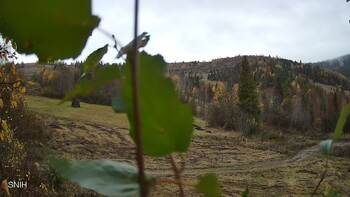 Beskyd 27 october 2026 year, 2026-10-27 13:00