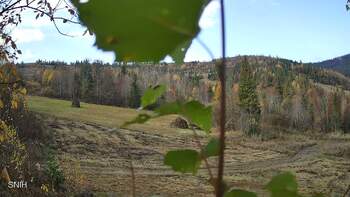Beskyd 28 october 2026 year, 2026-10-28 10:00