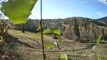 Beskyd 28 october 2026 year, 2026-10-28 13:00