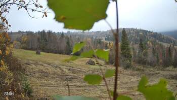 Beskyd 29 october 2026 year, 2026-10-29 10:00