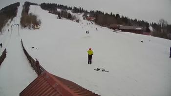 Тростян 21 лютого 2019 року, 2019-02-21 16:00