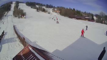 Тростян 25 лютого 2019 року, 2019-02-25 10:00