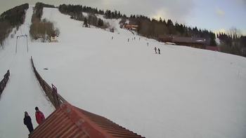 Тростян 27 лютого 2019 року, 2019-02-27 16:00