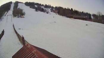 Тростян 28 лютого 2019 року, 2019-02-28 16:00