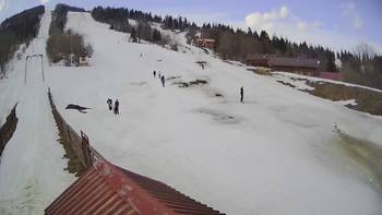 Тростян 9 березня 2019 року, 2019-03-09 13:00