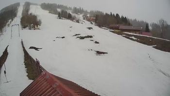 Тростян 11 березня 2019 року, 2019-03-11 10:00