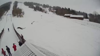 Тростян 15 березня 2019 року, 2019-03-15 10:00