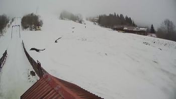Тростян 17 березня 2019 року, 2019-03-17 10:00