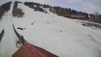 Тростян 17 березня 2019 року, 2019-03-17 13:00