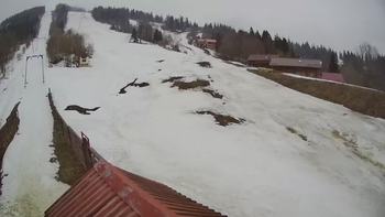Тростян 18 березня 2019 року, 2019-03-18 16:00