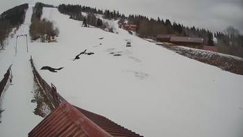 Тростян 20 березня 2019 року, 2019-03-20 10:00