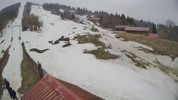 Тростян 24 березня 2019 року, 2019-03-24 10:00