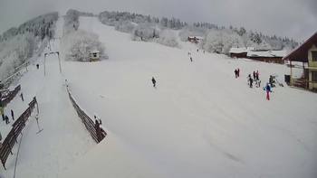 Тростян 29 січня 2020 року, 2020-01-29 10:00