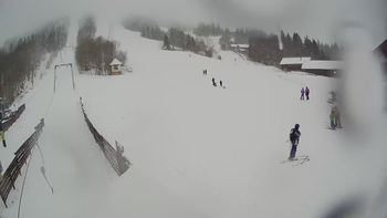 Тростян 31 січня 2020 року, 2020-01-31 13:00