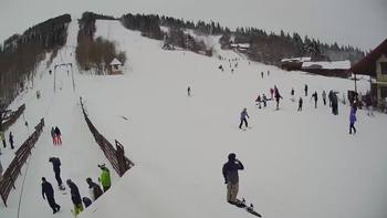 Тростян 8 лютого 2020 року, 2020-02-08 13:00