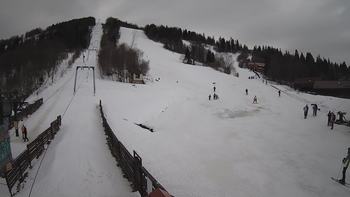 Тростян 1 березня 2020 року, 2020-03-01 13:00