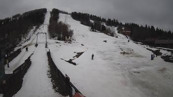 Тростян 8 березня 2020 року, 2020-03-08 10:00