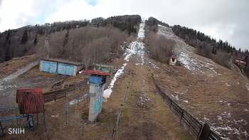 Тростян 29 січня 2025 року, 2025-01-29 10:00
