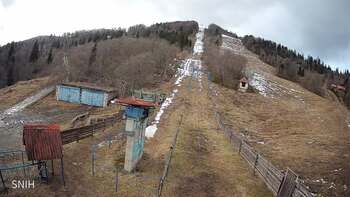 Тростян 29 січня 2025 року, 2025-01-29 13:00