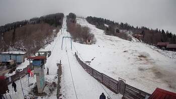 Triostjan 7 luty 2026 rok 13:00