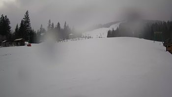 Пилипець 15 березня 2019 року, 2019-03-15 10:00