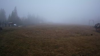 Пилипець 15 листопада 2019 року, 2019-11-15 10:00