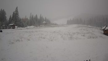 Пилипець 11 грудня 2019 року, 2019-12-11 10:00
