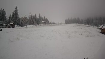 Пилипець 11 грудня 2019 року, 2019-12-11 13:00